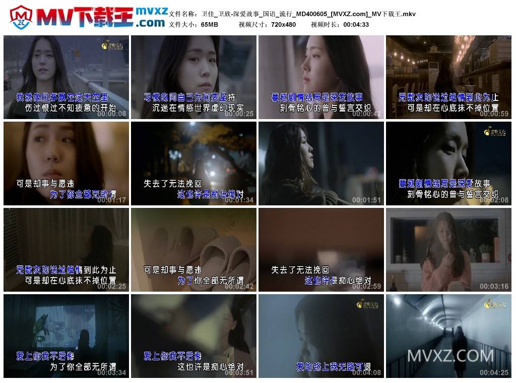 卫佳_卫欣-深爱故事_国语_流行_MD400605